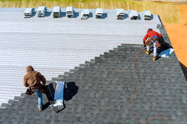 Best Storm Damage Roof Repair  in Madison, AL