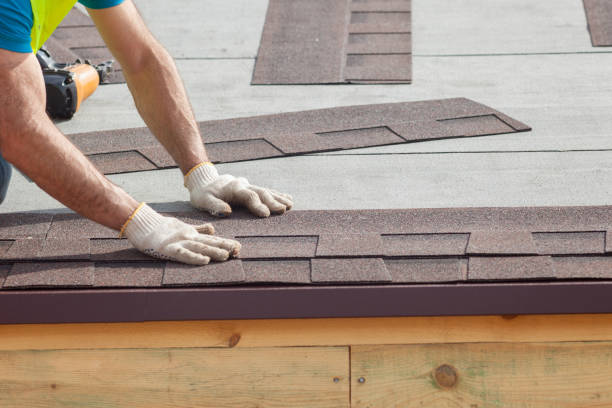 Best Solar Panel Roofing Installation  in Madison, AL